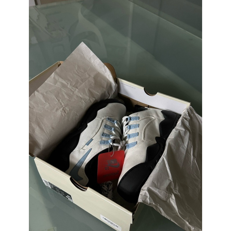Supreme x Nike SB Darwin low