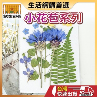小花苞系列 壓花 壓花書籤 壓花材料包 乾燥花書籤 乾燥壓花 書籤DIY 押花 壓花材料 壓花DIY 樹葉書籤 乾燥花
