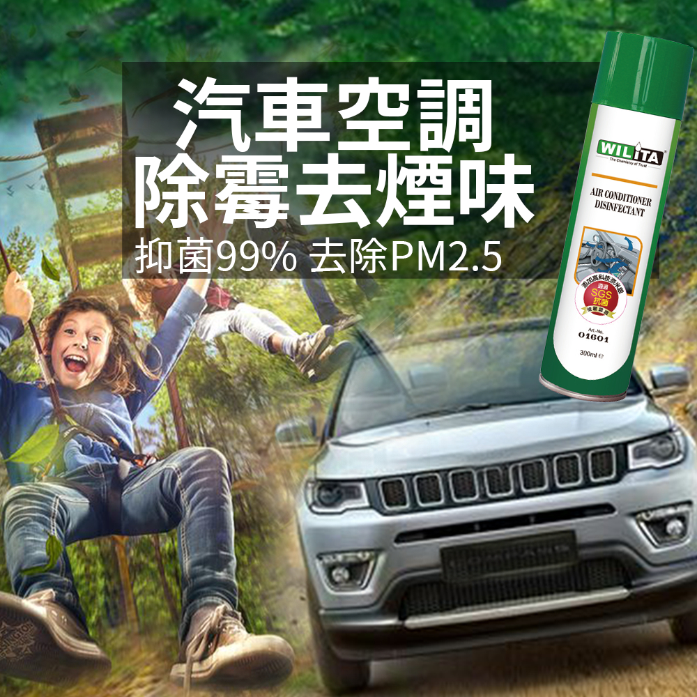 【WILITA 威力特】車內空調系統內循環清洗劑 2入組 汽車除臭空調清洗劑 抗菌/去除霉味/去除PM2.5/去除