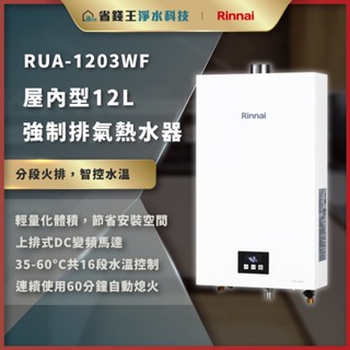 【省錢王-聊聊回報最低價】林內 RUA-1203WF RUA1203WF 屋內型 12L 智慧溫控強制排氣熱水器