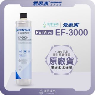 【原廠公司貨】愛惠浦 EF3000 濾心 ( 濾芯 愛惠浦濾心 愛惠浦濾芯 濾水器 淨水器 愛惠普 淨水器濾心 活性碳)