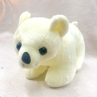 （現貨）北極熊寶寶 北極熊娃娃 動物抱枕 布偶 填充玩具 絨毛娃娃 觸感極佳 熊娃娃 玩偶 情人節禮物 居家擺飾