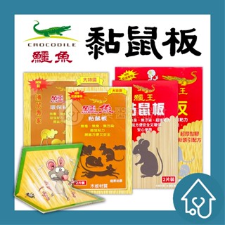 【現貨】 鱷魚 環保黏鼠板 鱷王 黏鼠板 粘鼠板 奶油香味 老鼠輩剋星 黏鼠板 滅鼠 捕鼠 捕鼠板 粘鼠板 非環境用藥