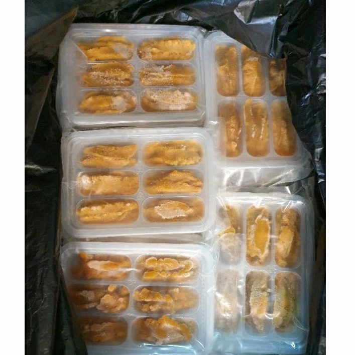 6盒免運！勿直接下單，匯款訂購！113年生食級澎湖野生馬糞海膽， 小盒裝、單隔裝，10斤以上享批發價。左營果貿