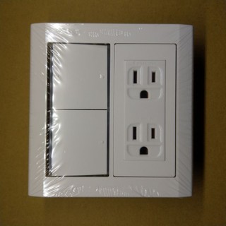 《振元水電材料》Panasonic松下星光 2開2插接地