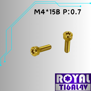【瘋螺絲】ROYAL 鈦合金螺絲★ M4*15B P:0.7 錐形螺絲★64鈦/正鈦/鈦合金螺絲★出貨附發票★土豪金