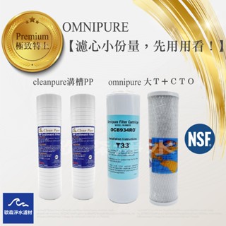 【歐森淨水】omnipure/cleapure溝槽/抗菌三道四入濾心/濾芯/NSF