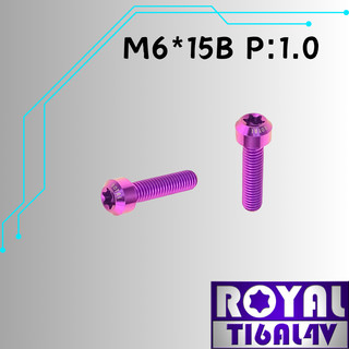 【瘋螺絲】ROYAL 鈦合金螺絲★ M6*15B P:1.0 錐形螺絲★64鈦/正鈦/鈦合金螺絲★出貨附發票 ★皇家紫