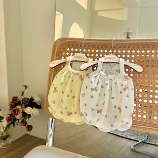OOPET ♡ 現貨｜韓國 碎花泰迪泡泡背心 S-2XL｜韓國品牌 韓國寵物服飾 寵物衣服 狗狗衣服 貓咪衣服