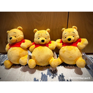 全新現貨 Winnie the Pooh 小熊維尼 Disney 有趣姿勢系列 玩偶 公仔 絨毛玩具 日本限定