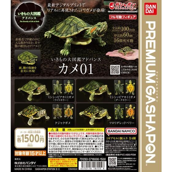 🔥現貨 BANDAI Premium 烏龜 彩龜 陸龜 鱷龜 生物大圖鑑 模型 環保扭蛋 扭蛋