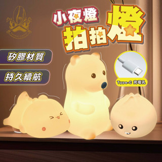 【現貨秒發🔥隔日到貨】可愛拍拍燈 LED小夜燈 伴睡燈 矽膠觸感 充電小夜燈 造型小夜燈 拍拍夜燈 母親節禮物 USB