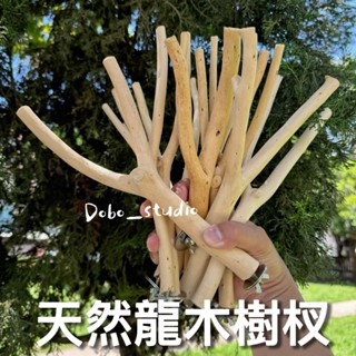 天然龍木樹杈 鸚鵡棲木 鳥籠配件 鳥休息站臺 鳥用玩具 拍攝道具 愛情鳥 太平洋鸚鵡 月輪 鸚鵡樹枝 樹枝樹幹🧡茉莉嚴選