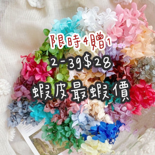 永生不凋繡球 繡球花 木繡球 大地農場捧花素材手工卡片 手腕花花材 盆花花材 擴香石花材畢業花束花材