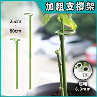 植物支撐架🔥8.3mm加粗型🔥龜背芋支撐架 園藝支架 支撐桿 植物支撐架 盆栽支架 植物支架 植物花架 蘭花支架