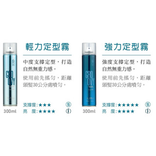 SCREEN 斯古林 強力定型霧 輕力定型霧 300ml 義大利原裝進口
