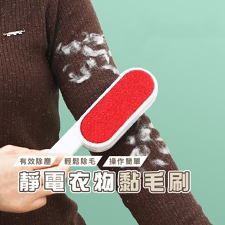 臺灣現貨 B378 大衣除塵除毛刷 衣物刷毛器 去毛刷靜電刷 靜電黏毛刷 WENJIE