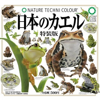 【玩模收藏】正版現貨 IKIMON NTC 日本蛙 特裝版 第三彈 立體公仔 扭蛋 日本的青蛙 轉蛋 迷你模型 迷你收藏