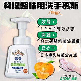 【現貨】料理去味 日本獅王趣淨 料理去味洗手慕斯 230ml
