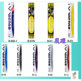《有現貨，1箱更便宜，最少2桶出貨》勝利VICTOR B-12天鵝羽球&銀箭級 B-08 練習級B-15 ，不怕風羽毛球