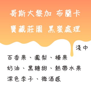 哥斯大黎加 布蘭卡 寶藏莊園 黑蜜處理 咖啡豆【豆箱咖啡】