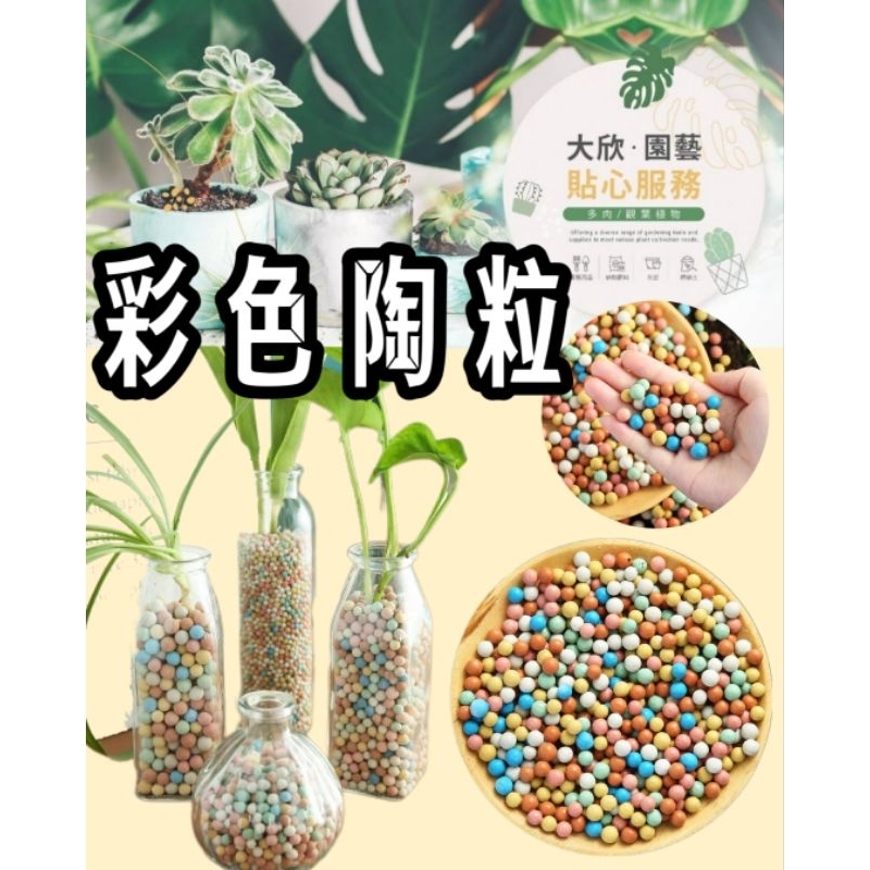 【大欣園藝】快速出貨 🌸粉紅系列彩色陶粒🌸 鋪面介質 500公克35元 各種尺寸齊全 彩色陶粒 水耕植物