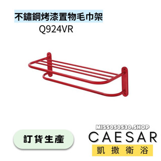 Caesar 凱撒衛浴 不鏽鋼烤漆 置物毛巾架 Q924VR 毛巾架 置物架 置衣架 不鏽鋼 浴室配件