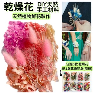 "【A-ONE】永生乾燥花 不凋繡球 繡球花 木繡球 捧花素材手工卡片 手腕花花材 盆花花材 擴香花材 畢業花束花材 "