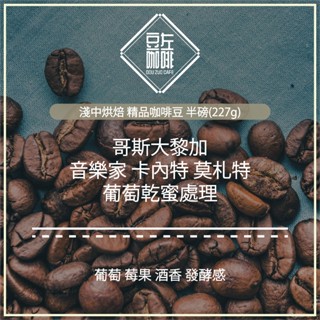 【豆左咖啡】批發優惠 自家烘焙 咖啡豆 濾掛咖啡 哥斯大黎加 音樂家 莫札特 淺中烘焙 半磅(227g)