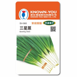 《農友種苗》特選蔬果種子 SV-560三星蔥