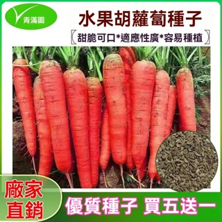 ✨原廠直銷【包裝種子】水果胡蘿蔔種子甜脆嫣紅胡蘿蔔種子紅蘿蔔耐熱耐寒子四季蔬菜種子