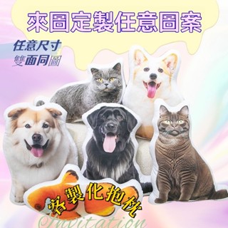 客製化抱枕 來圖定製 醜狗抱枕 醜貓抱枕 定製無白邊 異形玩偶 無描邊 人物貓狗寵物 來圖定做 免費摳圖