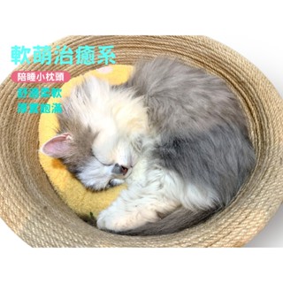 拜金的店 （臺灣出貨）M0002新款泰迪戎寵物半月枕 貓咪枕頭踩奶深度睡眠U型枕