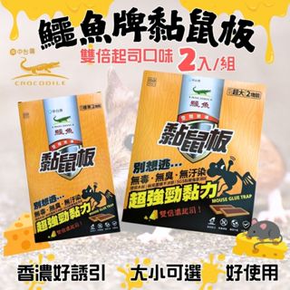 【現貨】黏鼠板 黏老鼠 粘鼠板 粘老鼠 環保黏鼠板 鱷魚環保黏鼠板