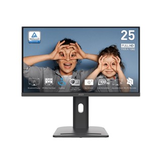 MSI 微星 PRO MP253P 25型 FHD 100Hz IPS 商用螢幕顯示器