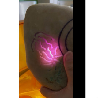 眼緣坊 天然 緬甸 翡翠 原石 三鐲位 雙彩 夫妻色 桃花春 3.14kg 遠燈對穿 色辣 聲音清脆 鳳山現貨換現金出清