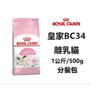 皇家 bc34 離乳貓 幼貓飼料 專用飼料【jojo小舖】