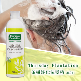 澳洲 Thursday Plantation茶樹淨化洗髮精 250ml 發癢 去油 雪花