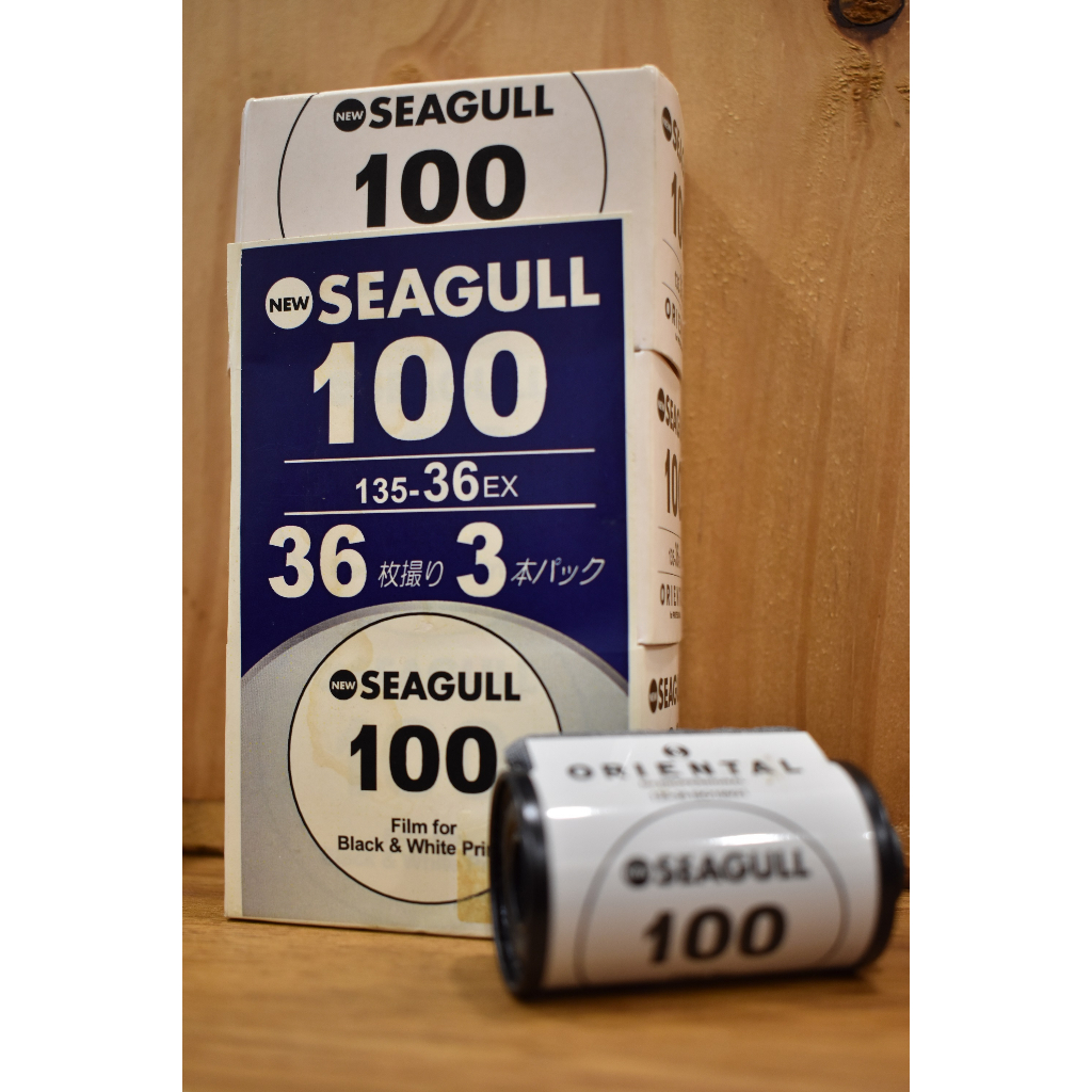 黑白底片 SEAGULL 100 底片 DXN 24x36mm 135-36EX ISO100 (過期)