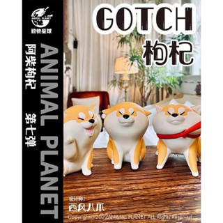 【MOVE】 (現貨) 動物星球 西風聯名 阿柴枸杞 第七彈 柴犬 招手 拉繩 GK 手辦 公仔 模型