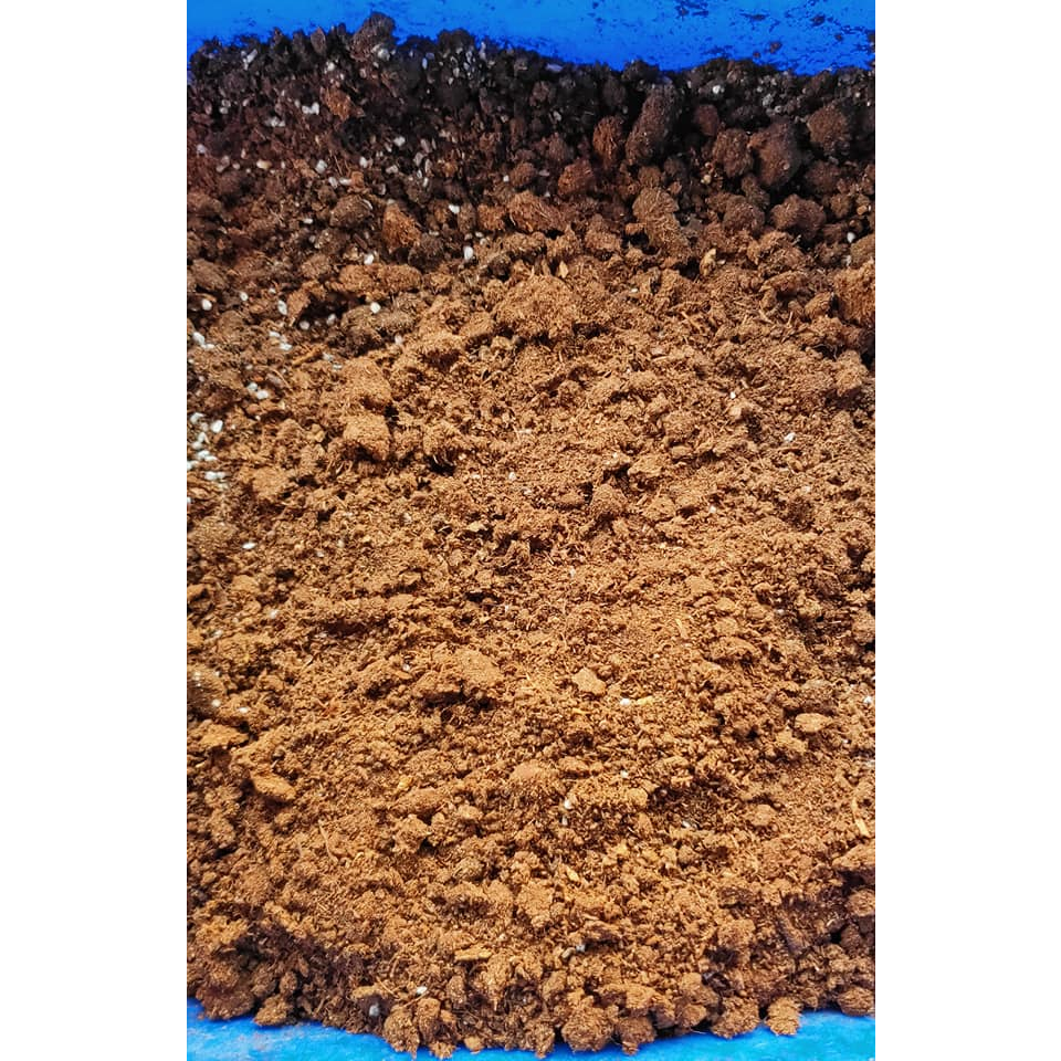 食蟲植物 專用介質A  無肥泥炭土  (一公升)