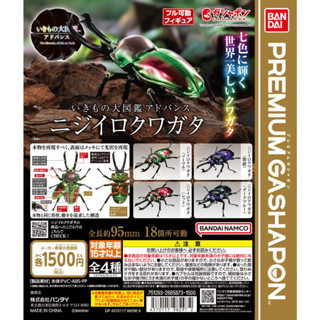 BANDAI 生物大圖鑑 彩虹鍬形蟲 全4款 昆蟲 獨角仙 扭蛋 環保扭蛋
