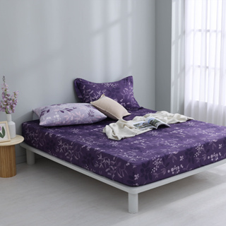深紫莊園-40支200織紗精梳棉枕套床包組