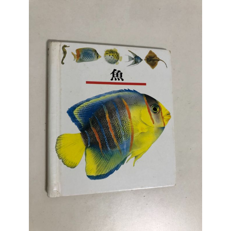 【二手書】理科：第一個發現－魚