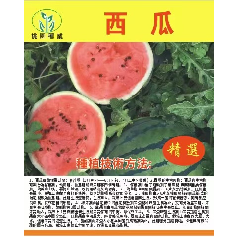 甜王西瓜種子  超甜紅瓤籽少抗病高產大果皮薄肉厚爽脆多汁水果種籽