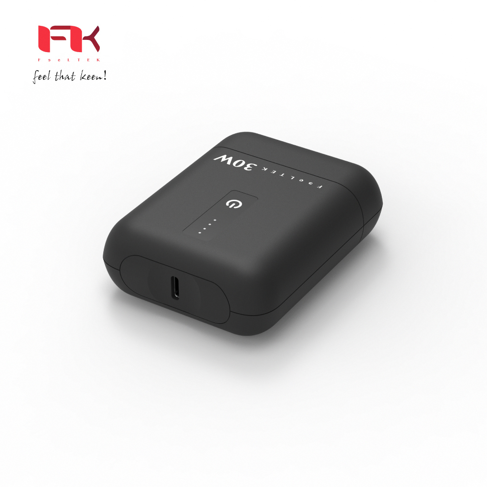 【瘋桑C】Feeltek Pico Pro 30W 10000mAh PD3.0 &amp; QC3.0 快充行動電源