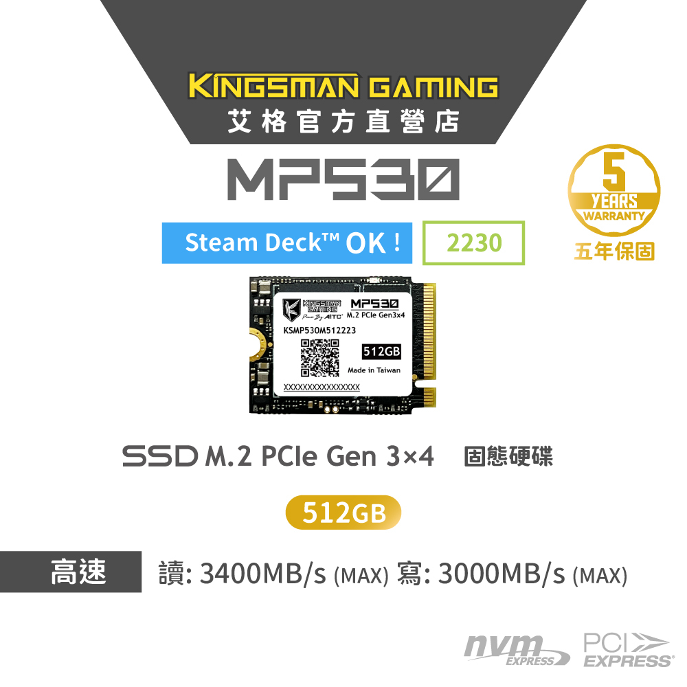 AITC艾格 KINGSMAN MP530 512G M.2 2230 PCIe Gen3 SSD mac A1708