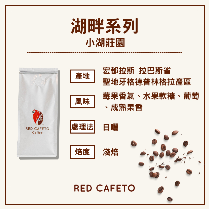 【宏豆咖啡】宏都拉斯 小湖莊園 卡帝摩 / 日曬 / 淺焙 / 半磅 咖啡豆