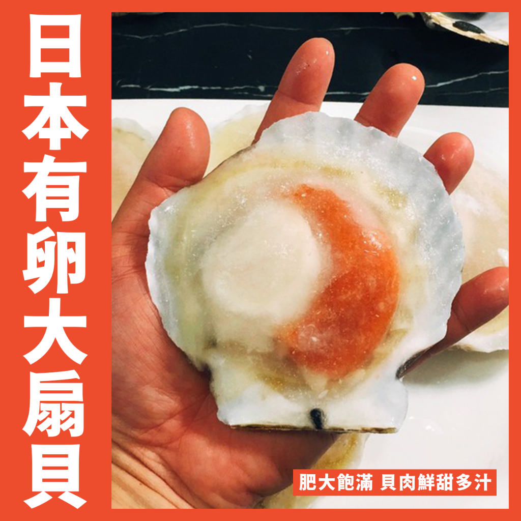 【鮮煮義美食街】💮 日本帶殼有卵大扇貝1公斤9-10大顆