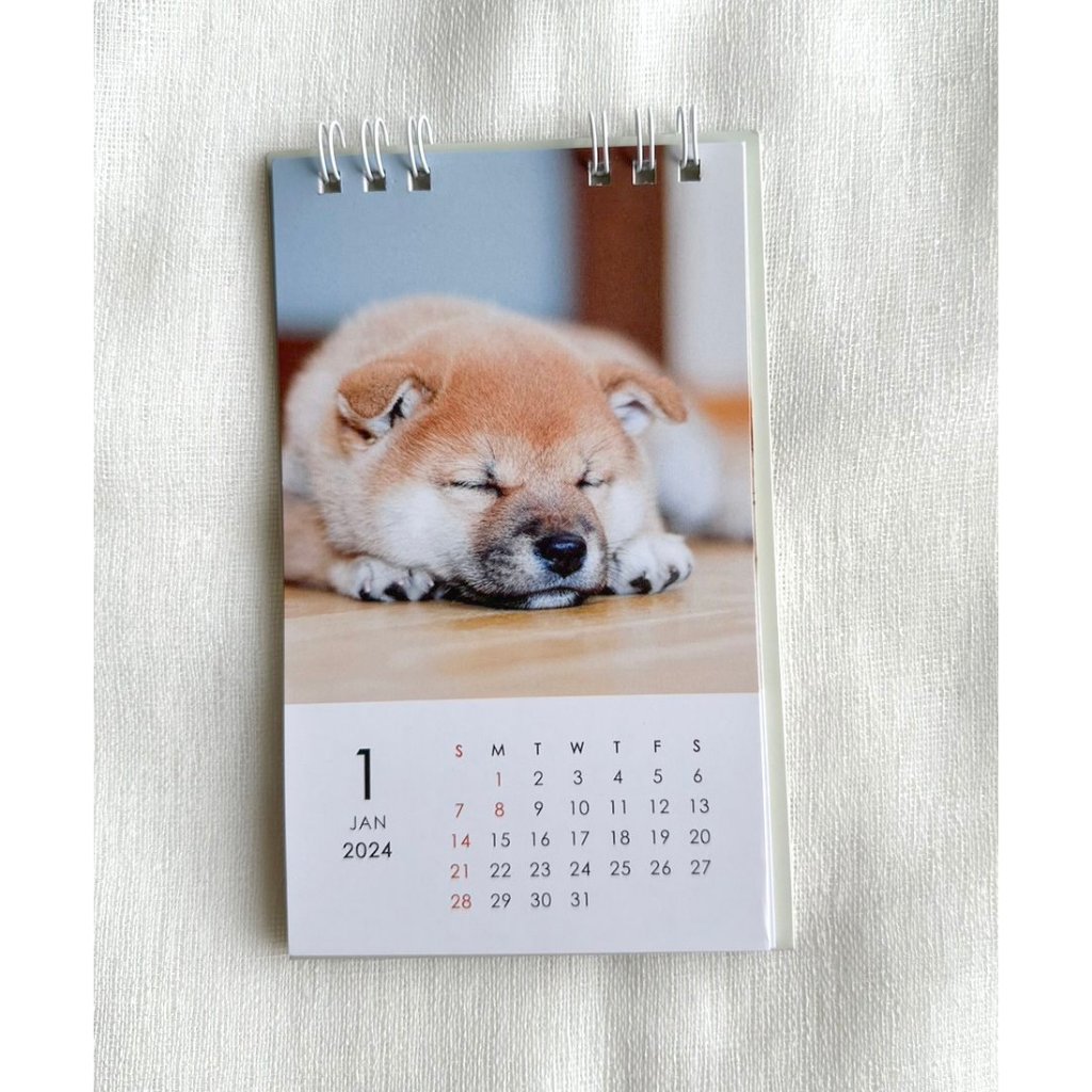 ☆日本鳥物精品☆現貨 2024年 狗狗桌曆|月曆|造型桌曆|立式月曆